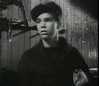 Foto de Darryl Hickman pareja de Pamela Lincoln