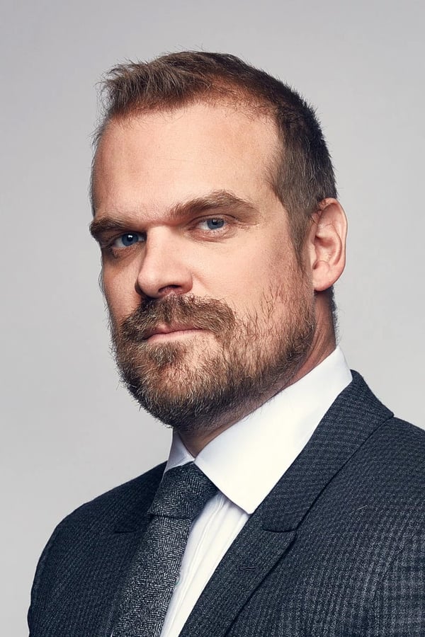 Foto de David Harbour pareja de Lily Allen