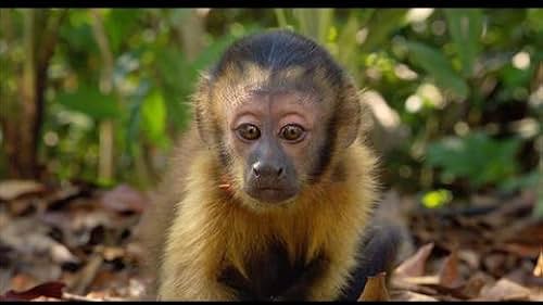 Foto de Fabiano Gullane pareja de Manuela Mandler