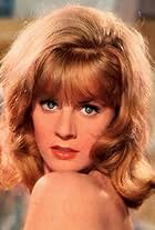 Foto de la celebrity Heidi Brühl