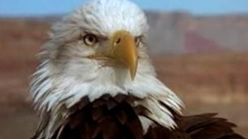 Foto de la celebrity Philippe Labro