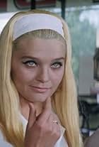 Foto de Svetlana Svetlichnaya pareja de Sergey Sokolsky